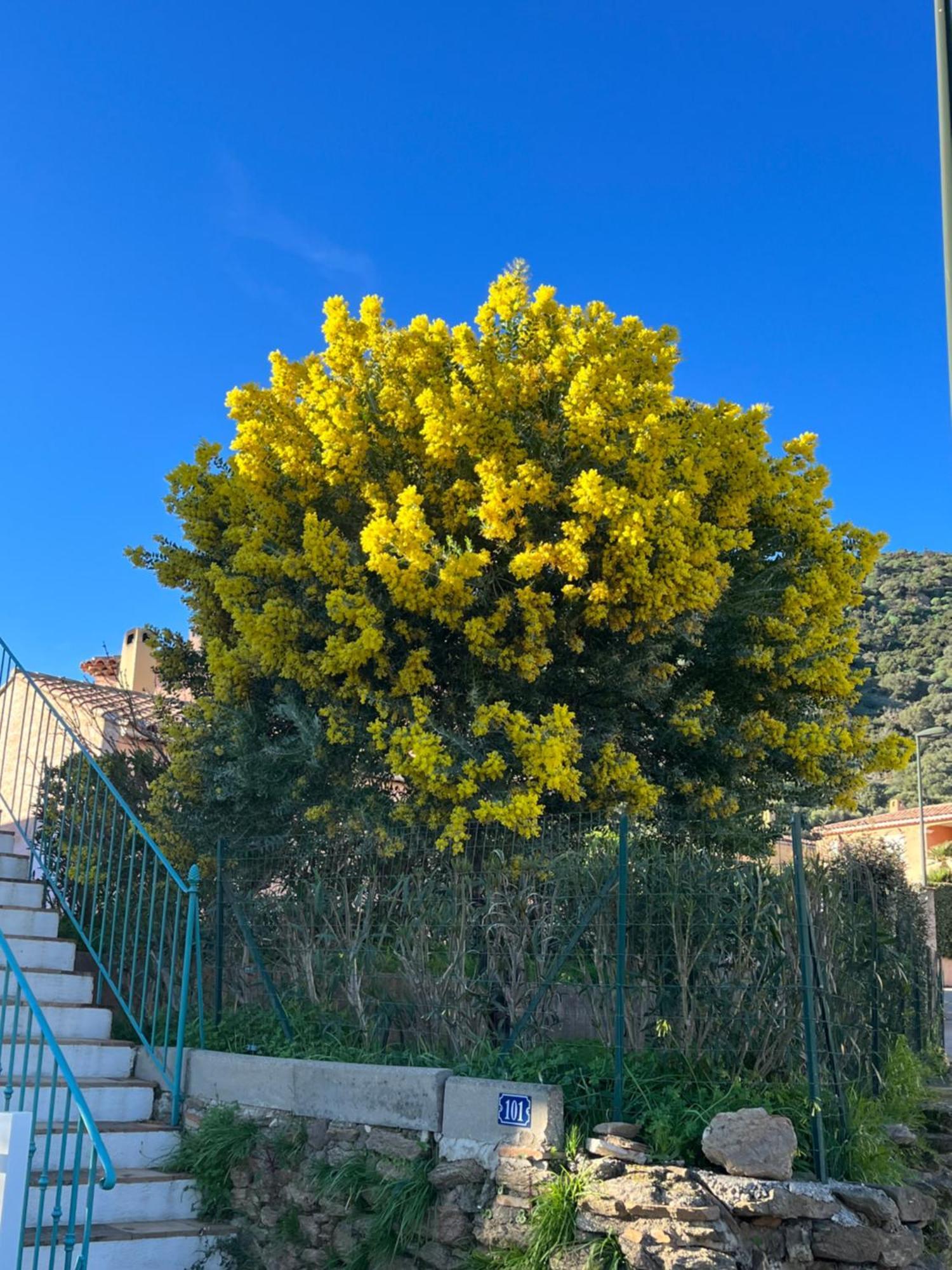 Le Lavandou St Clair Kültér fotó